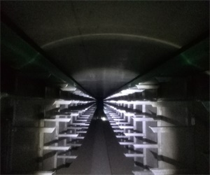 2025新老澳门饮料大全