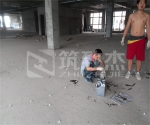 2025新老澳门饮料大全