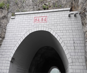 2025新老澳门饮料大全