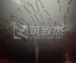 2025新老澳门饮料大全