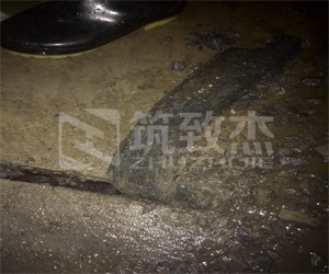 2025新老澳门饮料大全